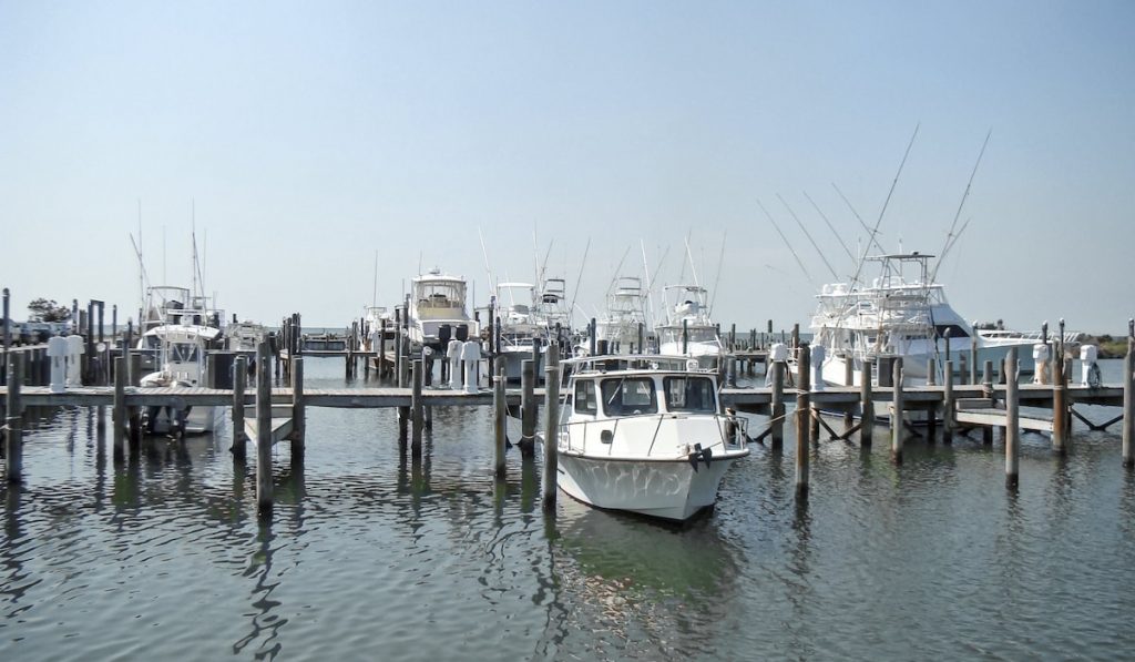 An early morning at a peaceful marina. The ocean is calm and the boats rock gentle in their slips beneath a blue sky. 